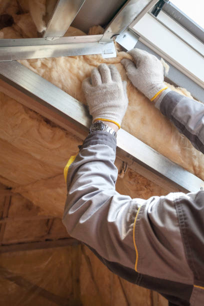 Types of Insulation We Offer in Johnston, SC